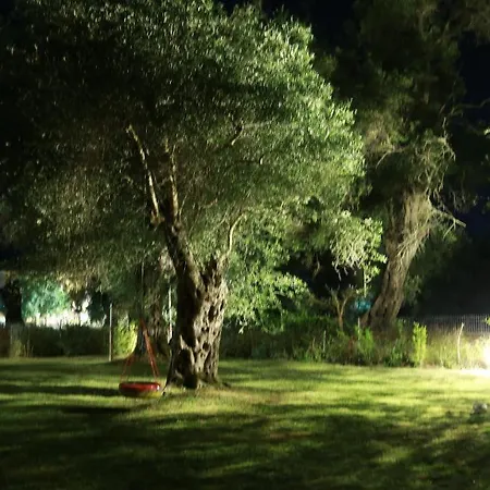 Maison d'hôtes Ktima Theofilos - Frideriki Petrití