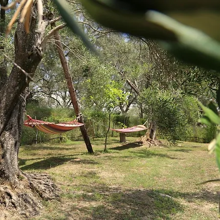 Maison d'hôtes Ktima Theofilos - Frideriki *
