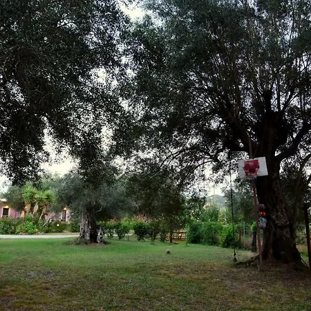 Maison d'hôtes Ktima Theofilos - Frideriki Petrití
